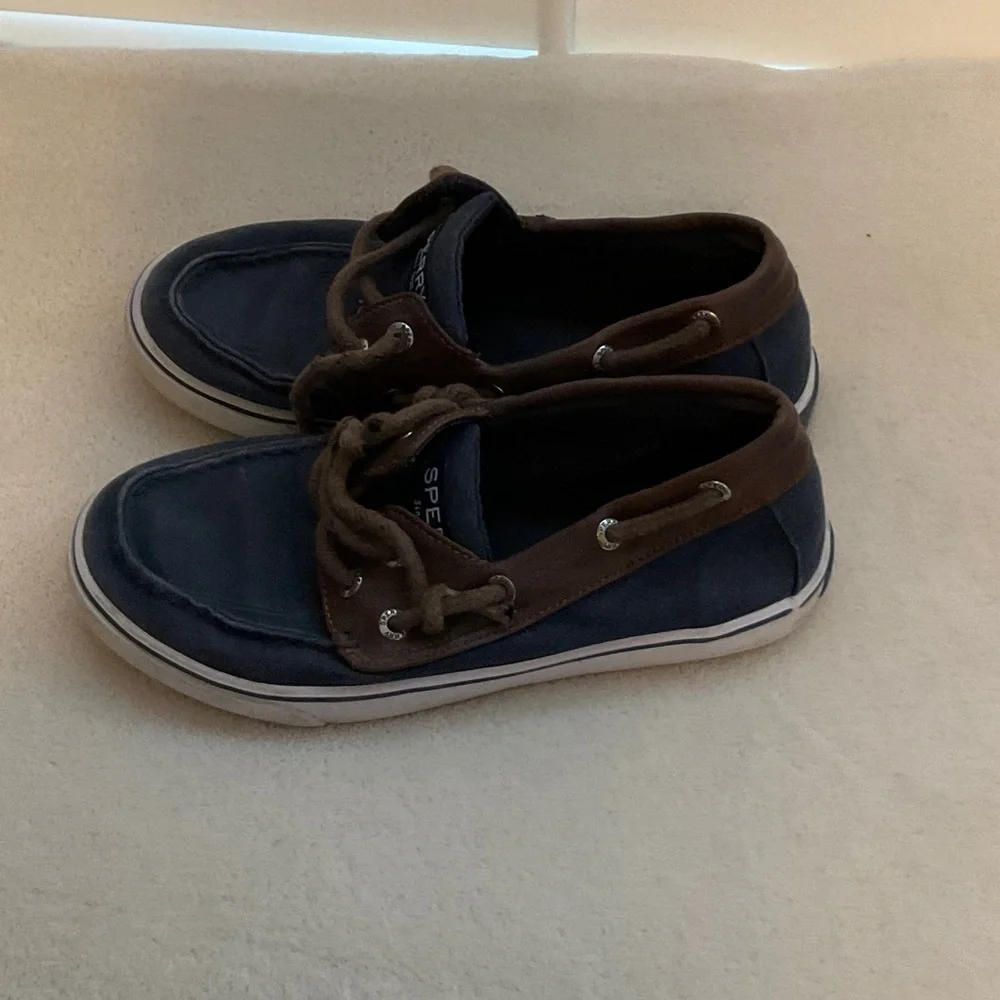 Sperry Men's Navy and Brown Boat Shoes